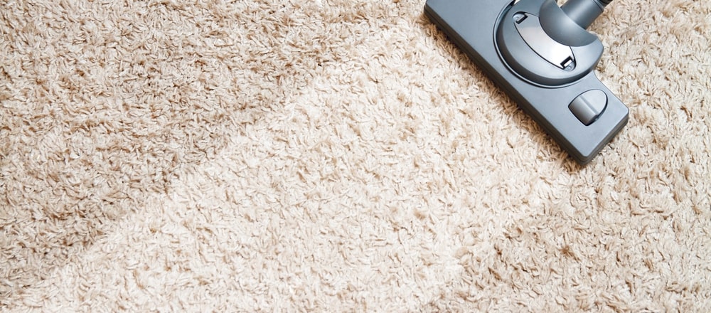 Can Water Damaged Carpet Be Saved?