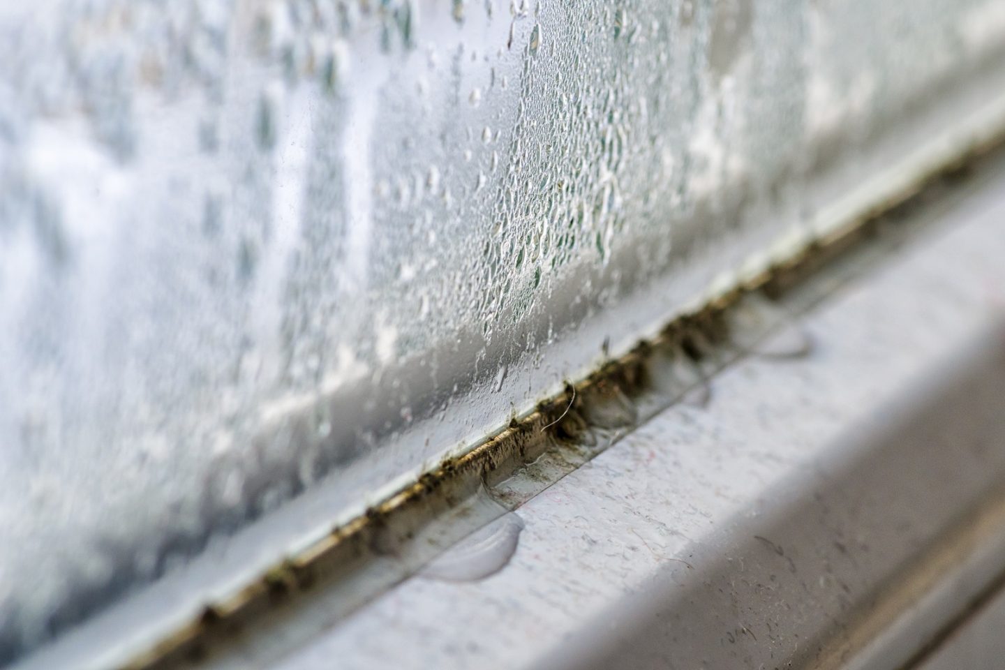 how to prevent mould in the cold season