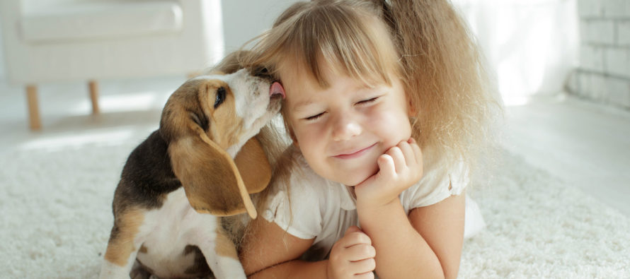 Mould Signs and Symptoms in Children and Pets