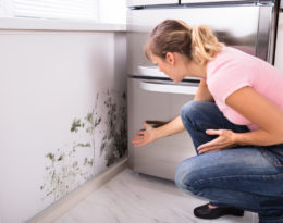 A woman reacting to finding mould in her kitchen