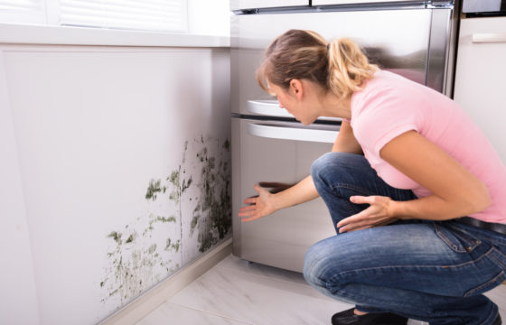 A woman reacting to finding mould in her kitchen