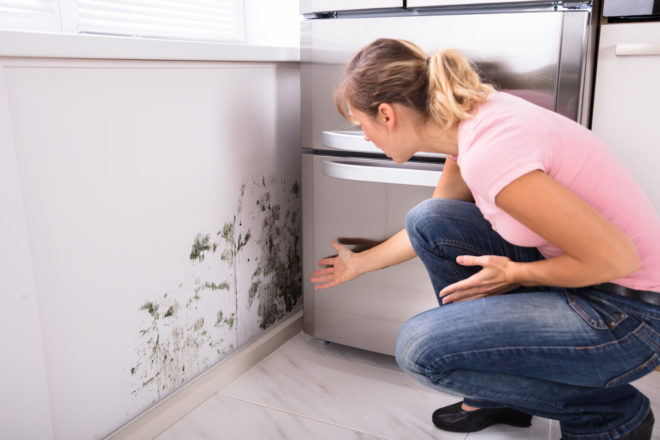 What to Do About Mould Problems During Spring Cleaning
