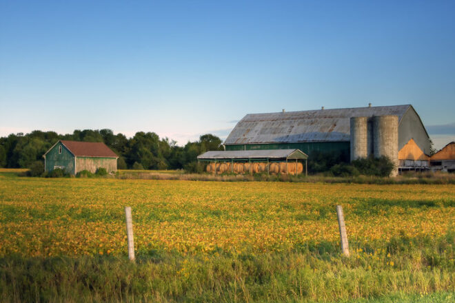 Rural Risks: Navigating Biohazard Threats in Chatham-Kent Homes