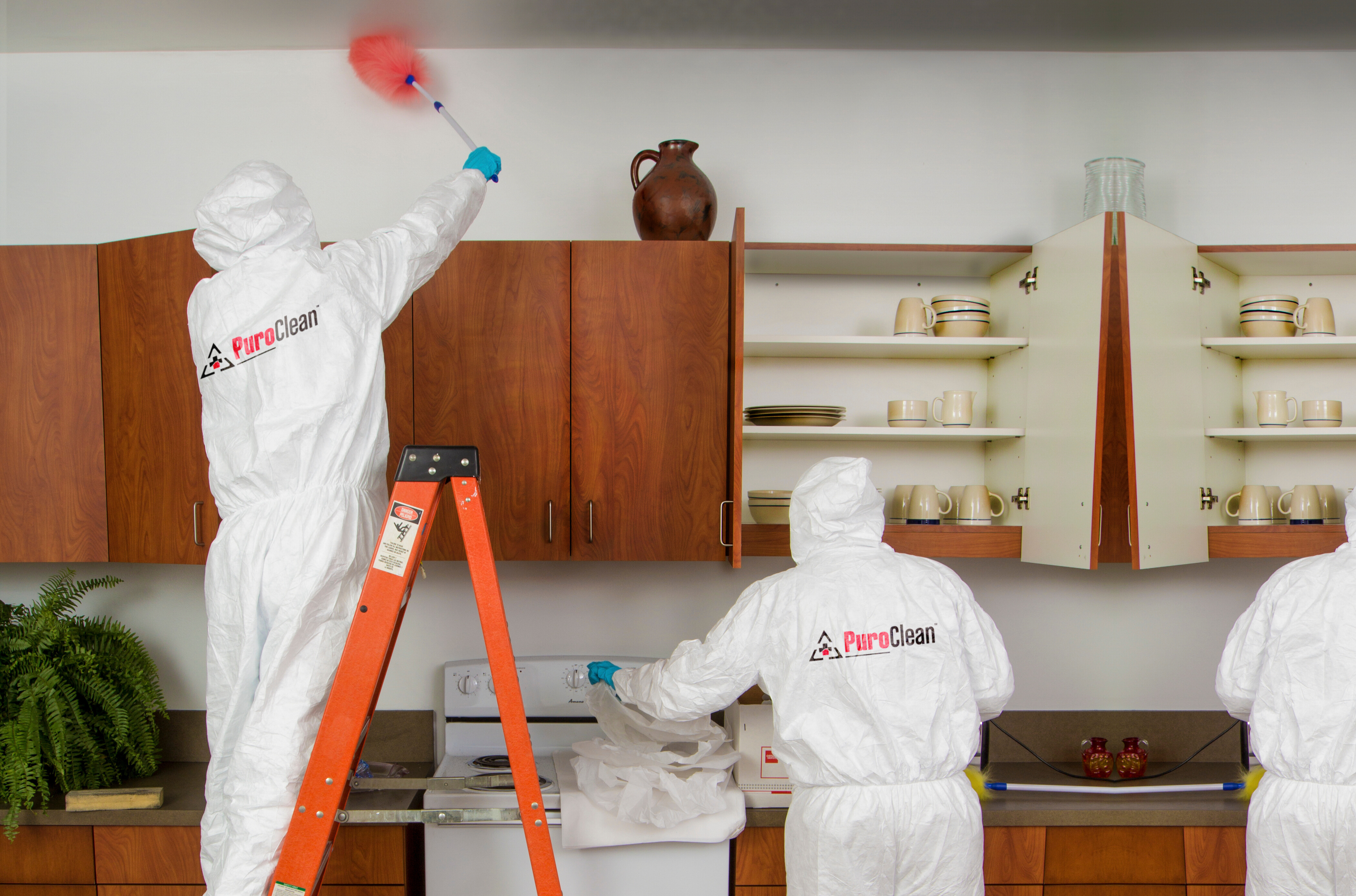 91e37533-26c6-40b1-92ac-c48892ea15ea