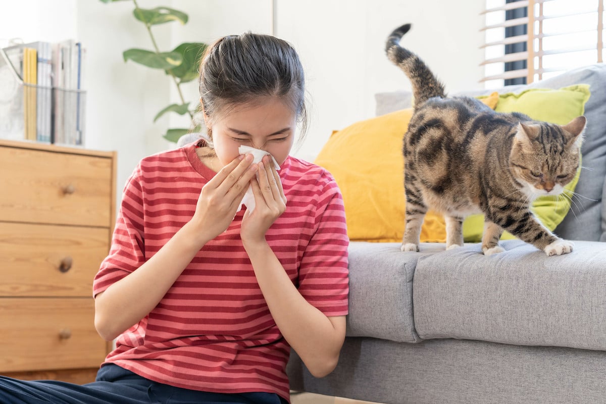 a young girl showing symptoms of mould exposure and she is sneezing wile a cat is behind her on a couch gril and cat exposure to mould