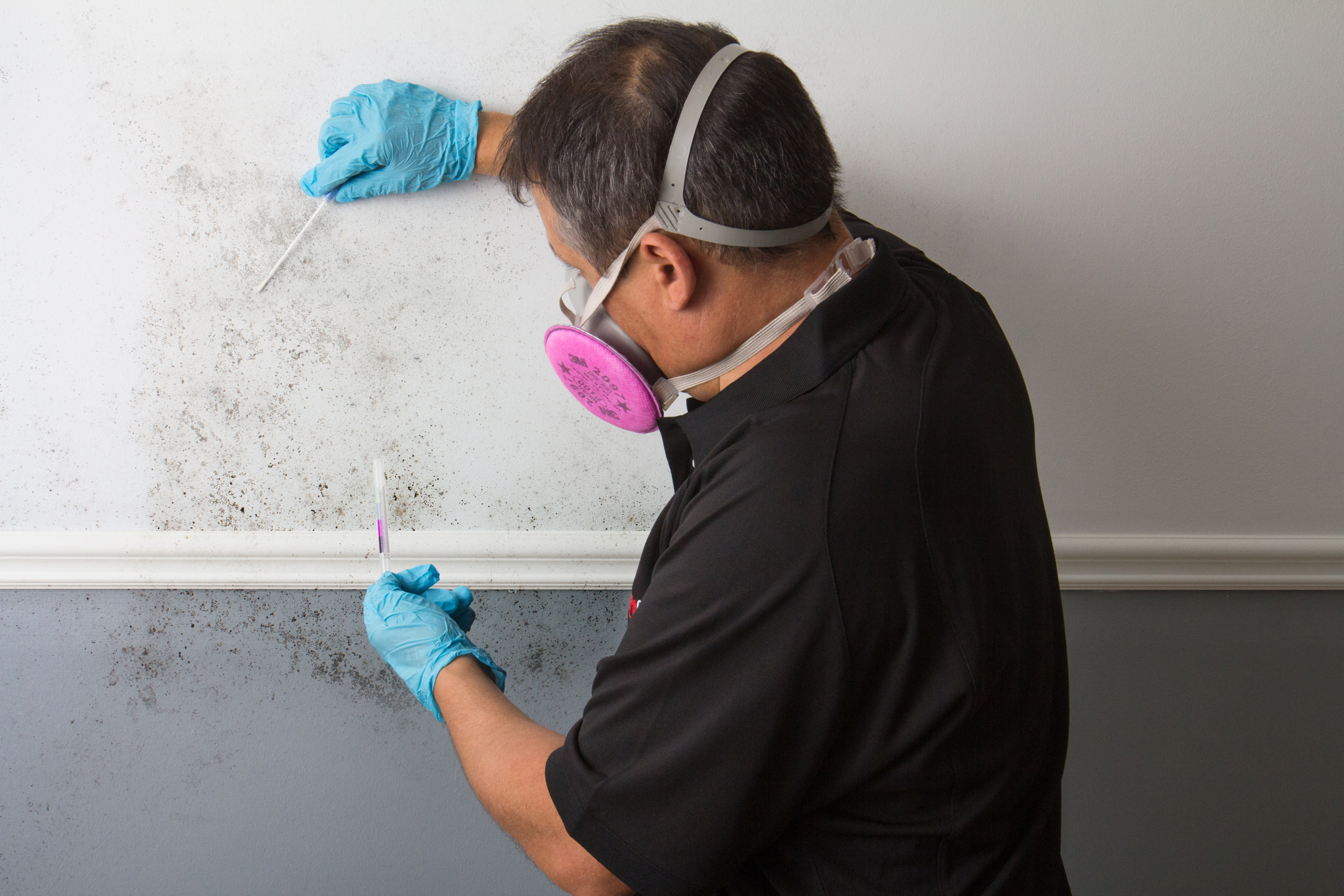 Man wearing a mask taking samples from a wall