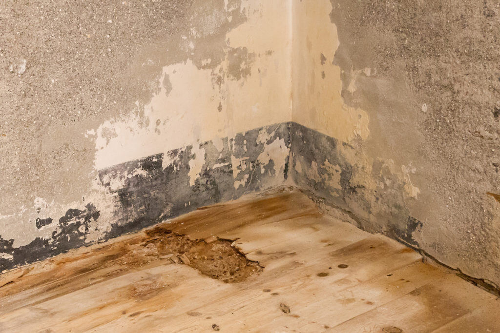Damaged wood as a result of severe water damage