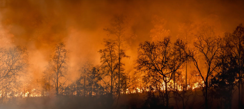 Natural Disasters in Canada - Forest fire