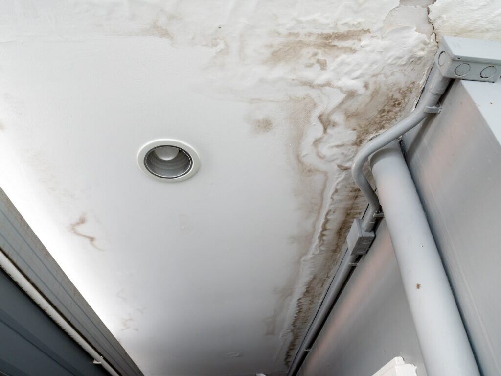 Mould grows with moisture.
