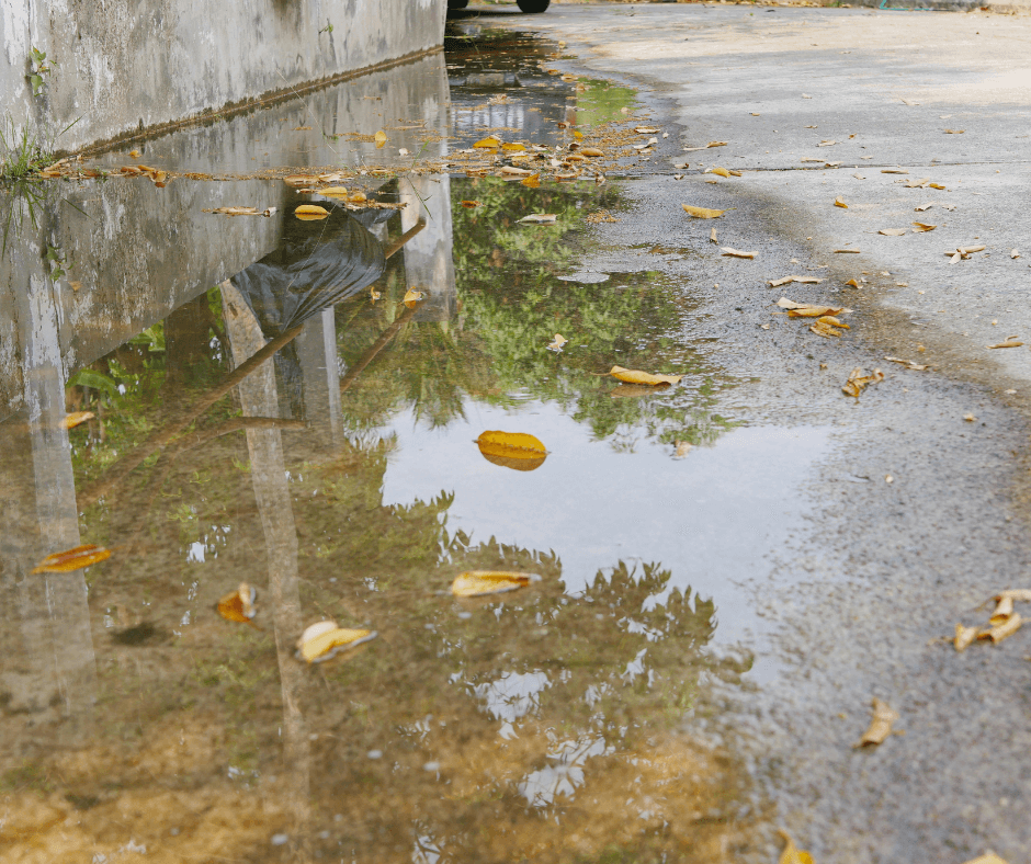 flooded basement after a heavy rain