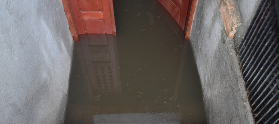 black water flooded a basement
