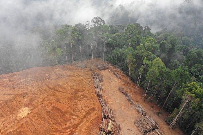 Deforestation is a common cause of debris flows.