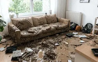 Mould Removal