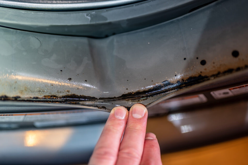 hidden mould in washing machine