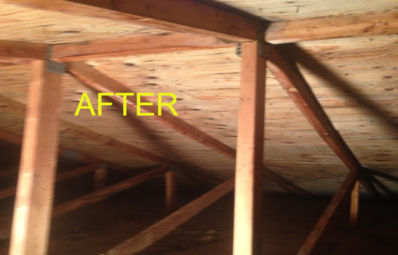 attic mould restoration - after