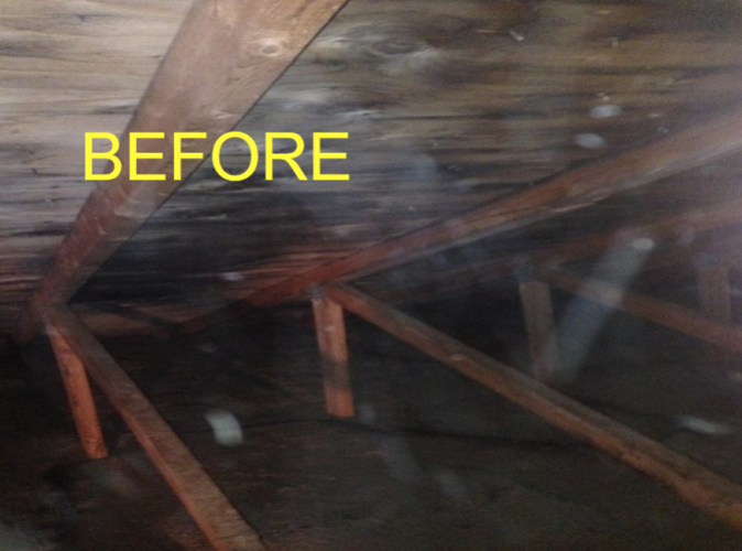 attic mould restoration - before