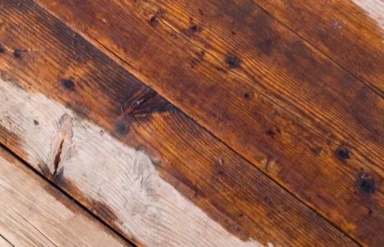 Flooded Hardwood Floor, What Does Water Damage Look Like On Hardwood Floors