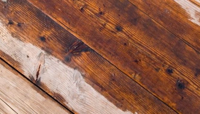 How to Prevent Water Damage on Hardwood Floors