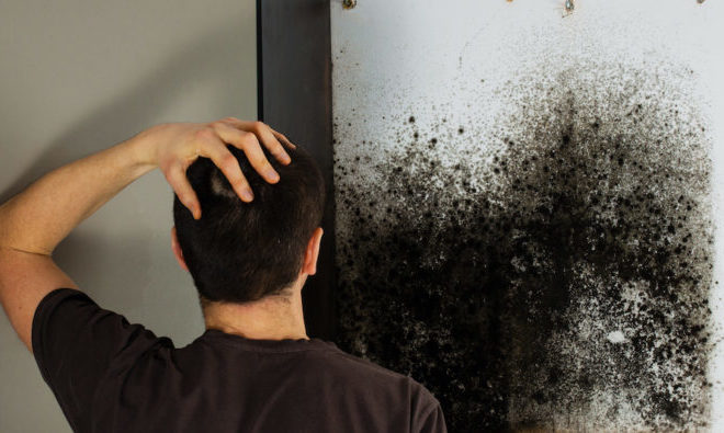 What Causes Mould in Homes?