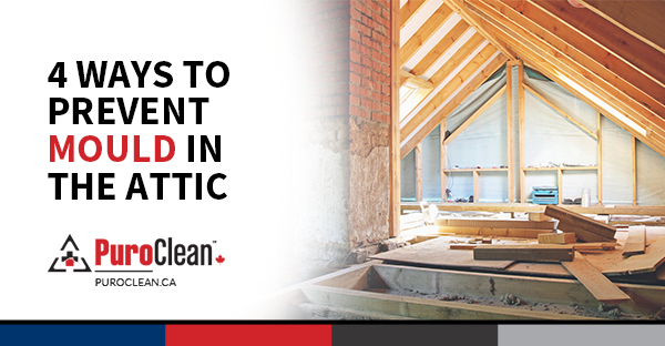 4 Ways to Prevent Mould in the Attic