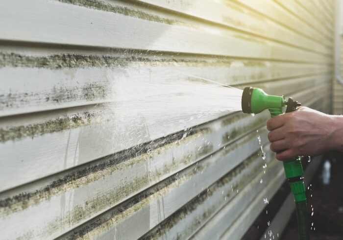 mould removal on vinyl siding