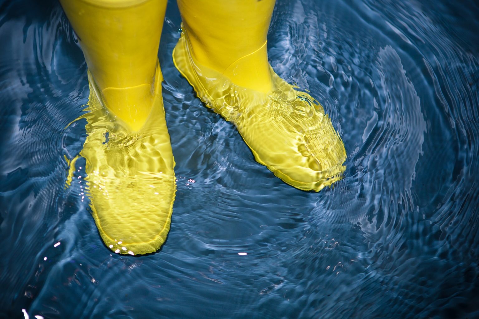 basement flood