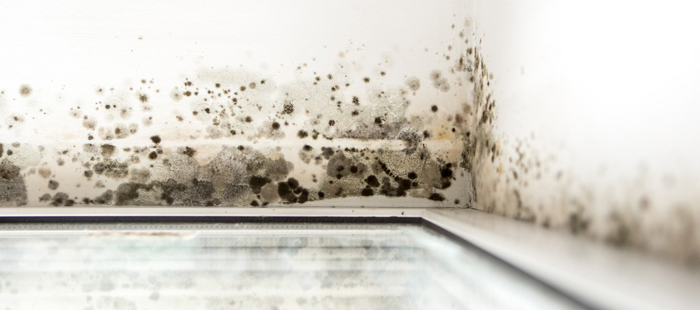 How to Eliminate Musty Odours from Water Damaged Properties
