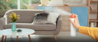 How to Get Rid of Smoke Odour in Your Home