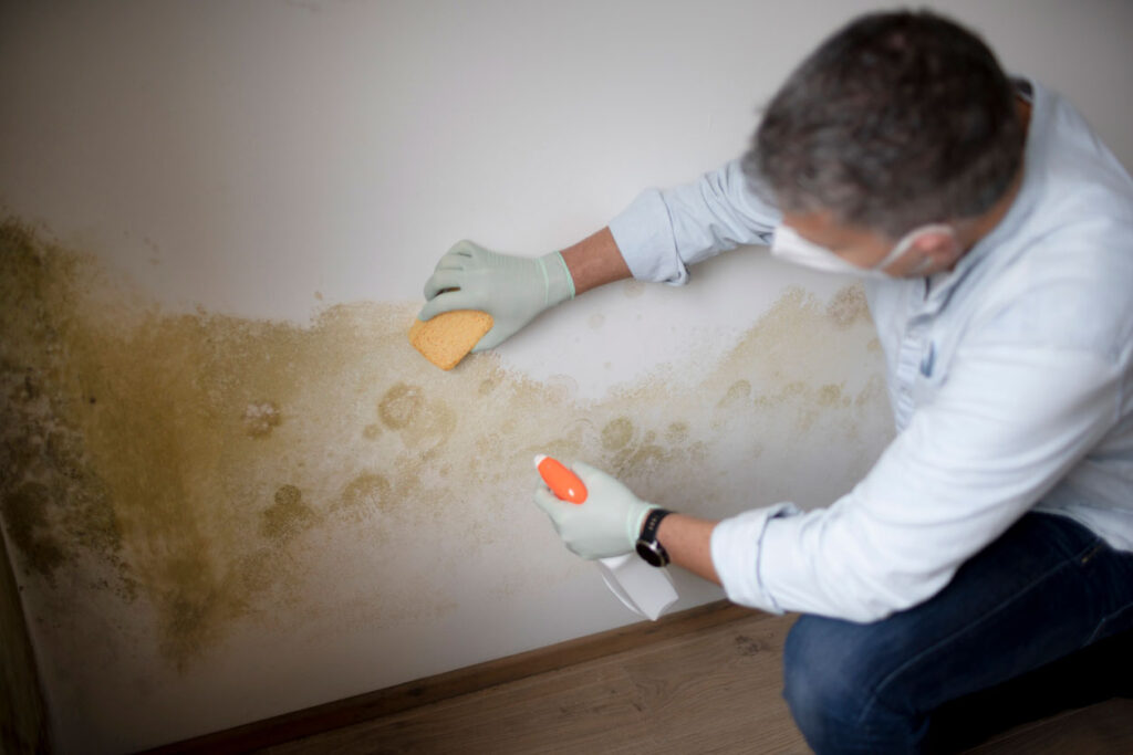 A man removing mold from wall