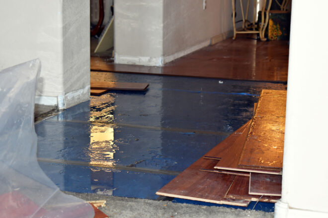 Water Damage Restoration in Merrickville, Ontario: Property, Mould, and Water Restoration