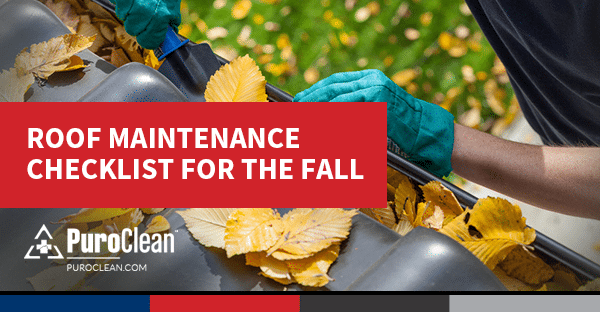 Roof Maintenance Tips for the Fall Season