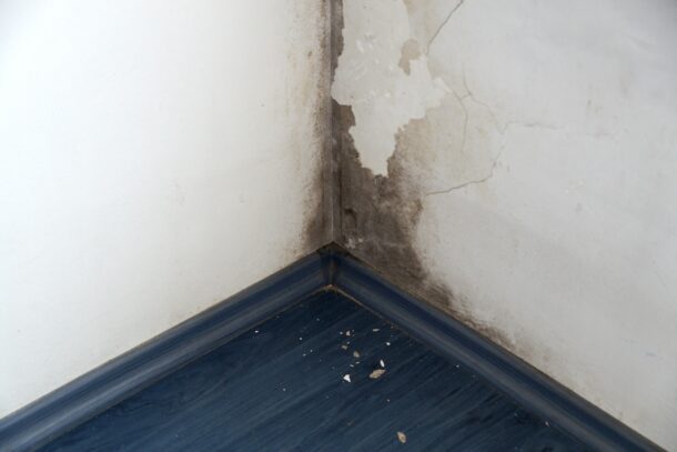 The 4 Most Common Signs of Mould in a Home