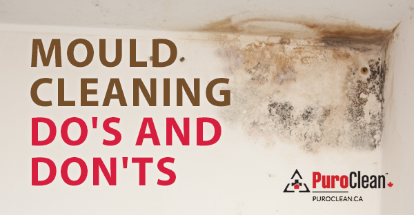 Mould Cleaning Do’s and Don’ts
