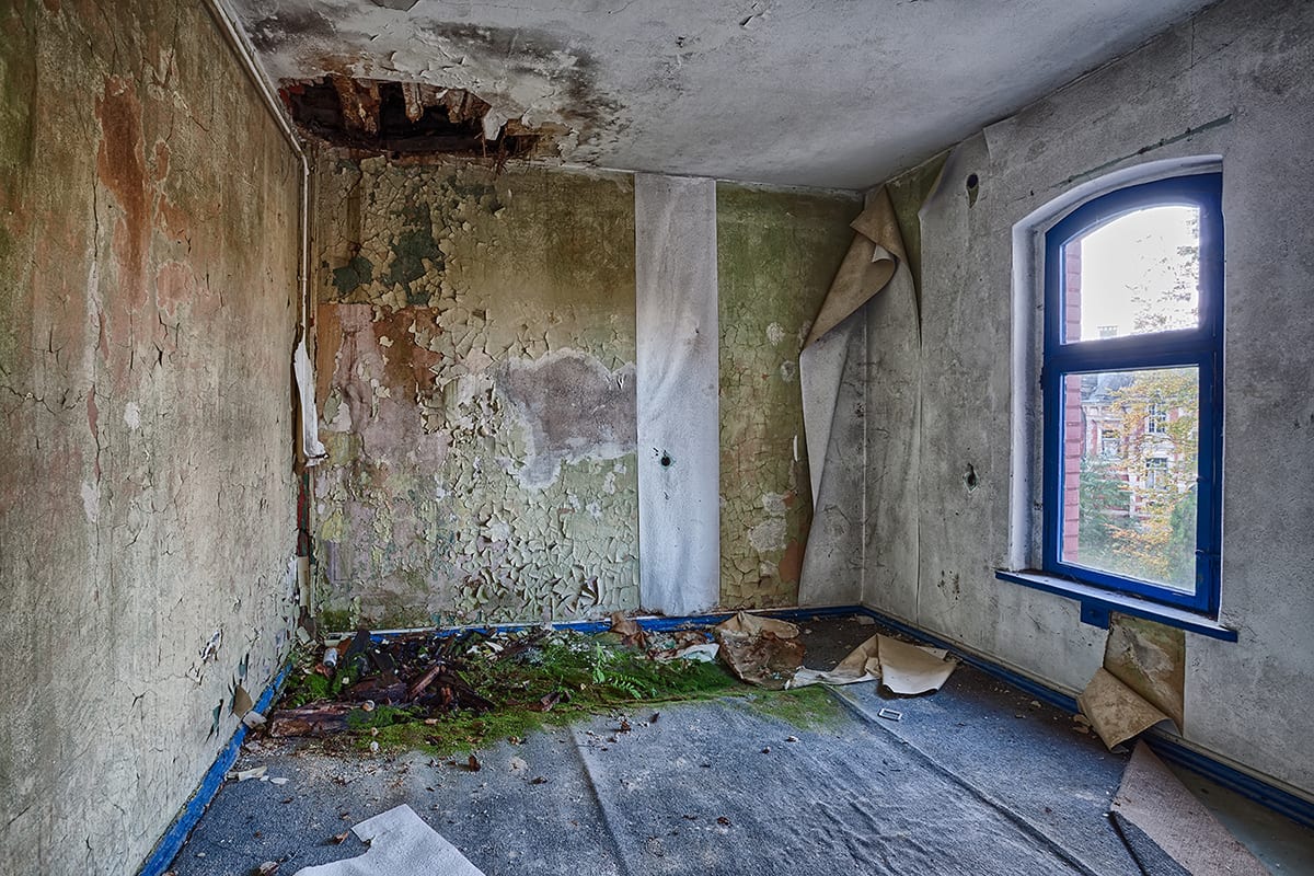 This Dramatic Biohazard, Water and Mould Remediation Is a Real Page-Turner