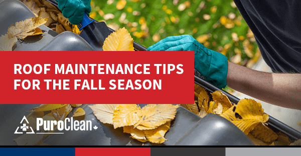 Roof Maintenance Tips for the Fall Season