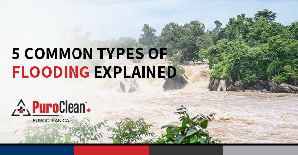 5 Common Types of Flooding Explained