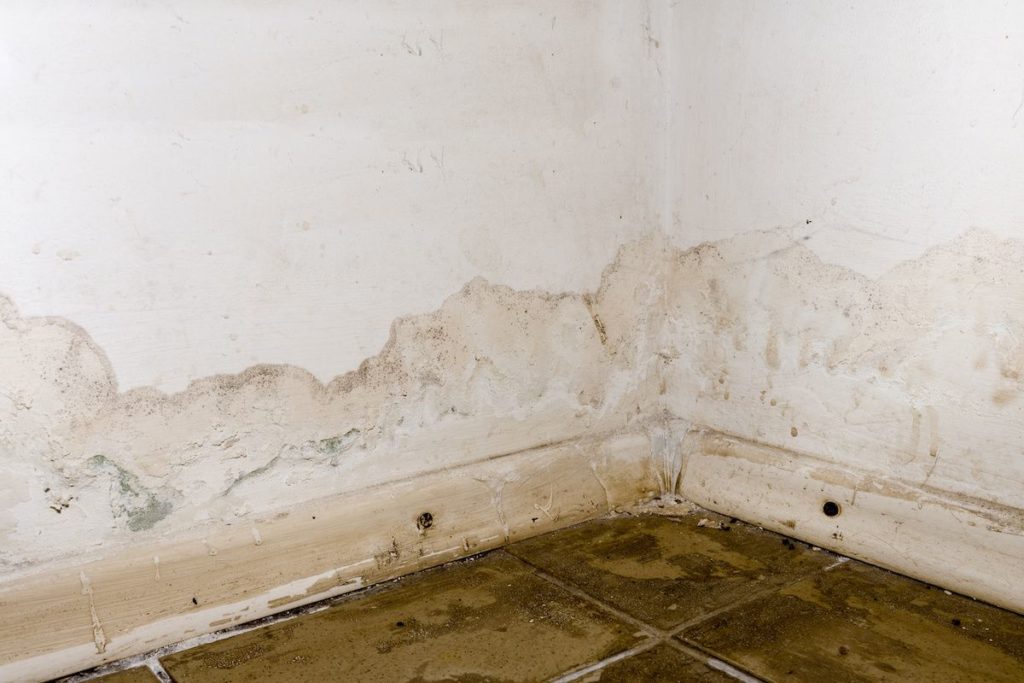 water damaged drywall with many damages such as mould, and dirt on the wall