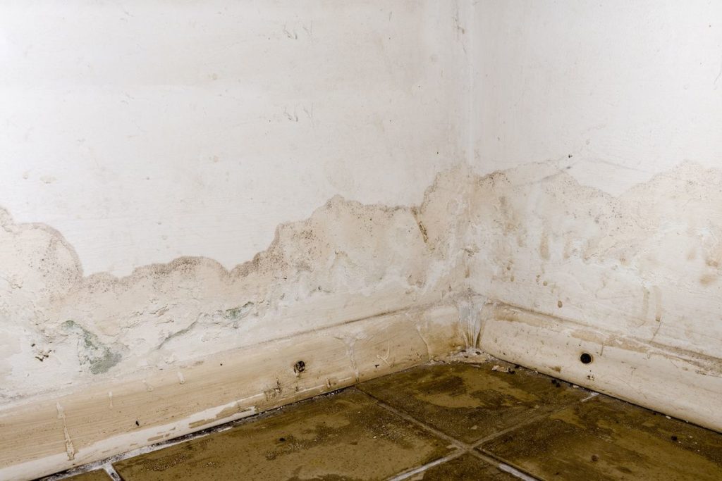 How To Repair Water-Damaged Drywall - PuroClean Restoration of Richmond