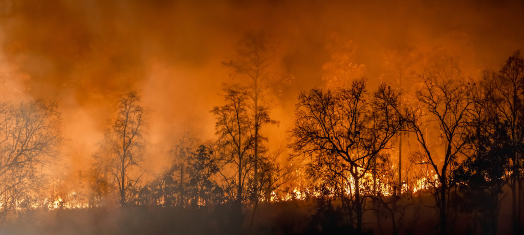 Natural Disasters in Canada - Forest fire