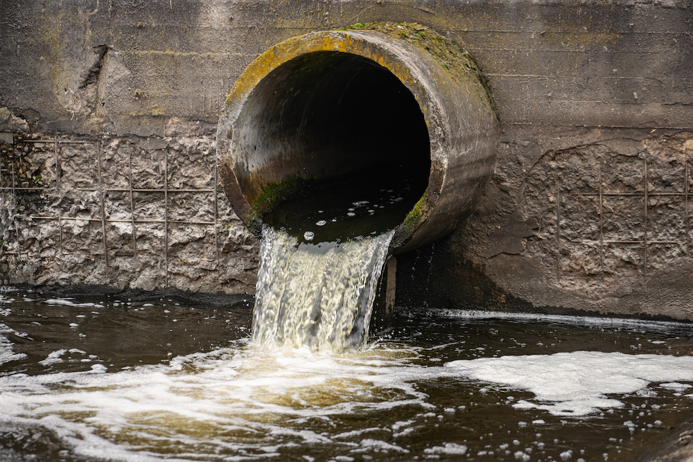 Revealing the Potential Health Effects of Sewage Contamination