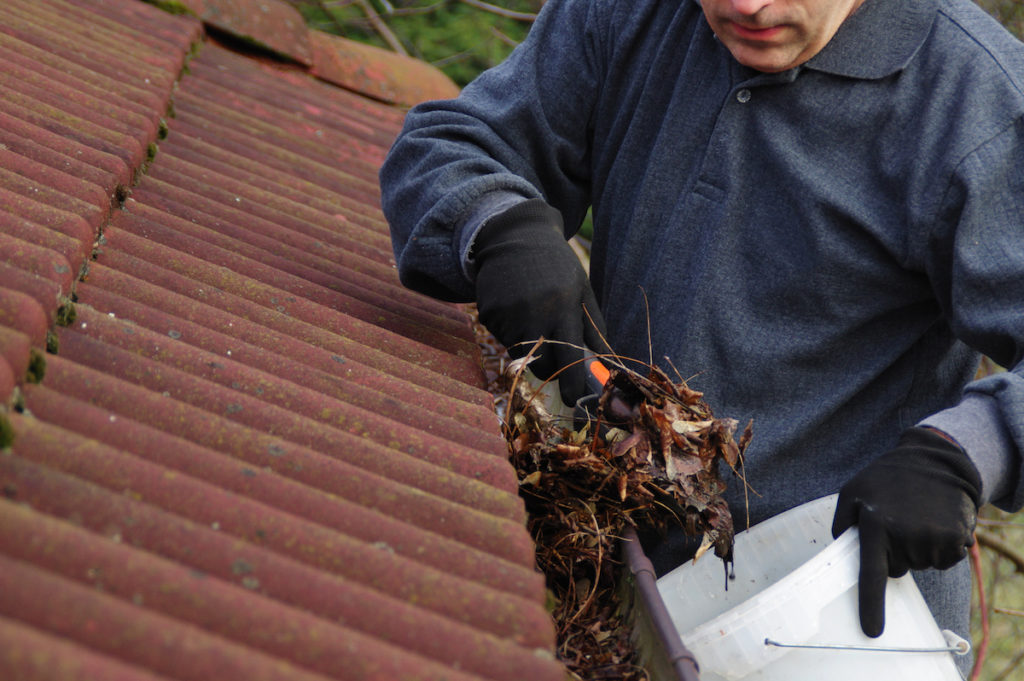Clearing your gutters is one way of clearing your property.