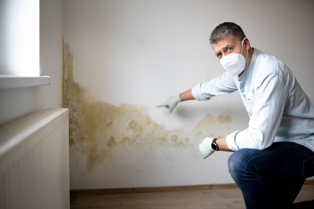 Man with mouth nose mask and blue shirt and gloves in front of white wall with mold